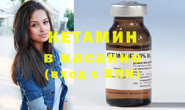 крисы Алексин
