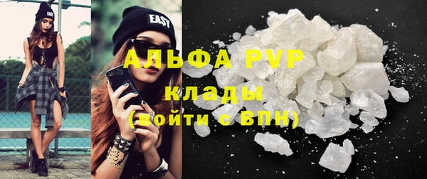 крисы Алексин
