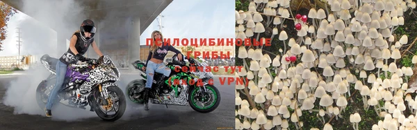 трава Алзамай